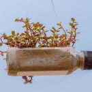 Не выбрасывай — переделай! Идеи для креативного повторного использования вещей