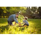 Экологическое образование: почему без него невозможно построить чистое будущее